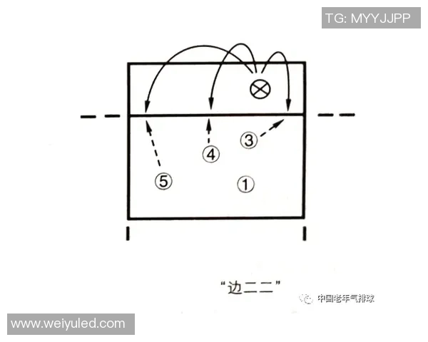 广州排球队节奏对比深度解析与战术探讨