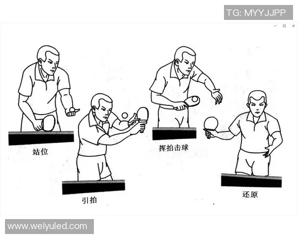 深圳乒乓球队的速度解析与战术应用探讨 深圳乒乓球队的速度解析与战术应用探讨