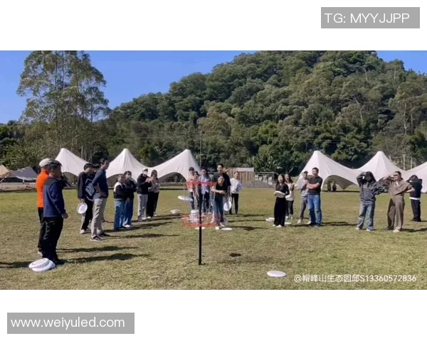 飞盘盛宴:深入广州飞盘队的训练与比赛背后的故事与激情