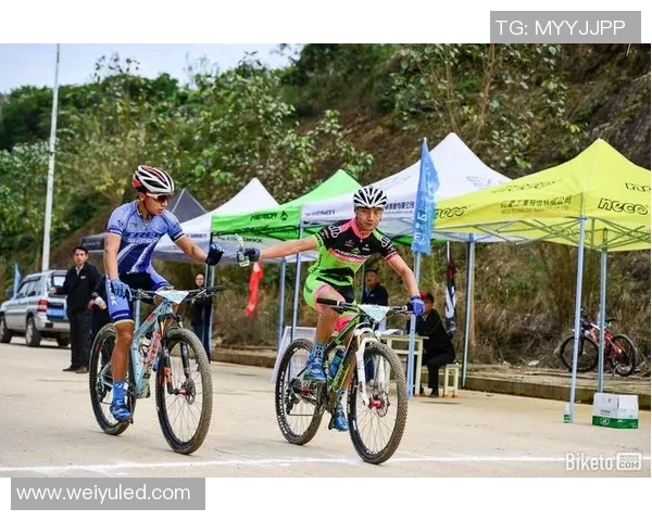 南京极限运动队的战术分析与表现评估探讨